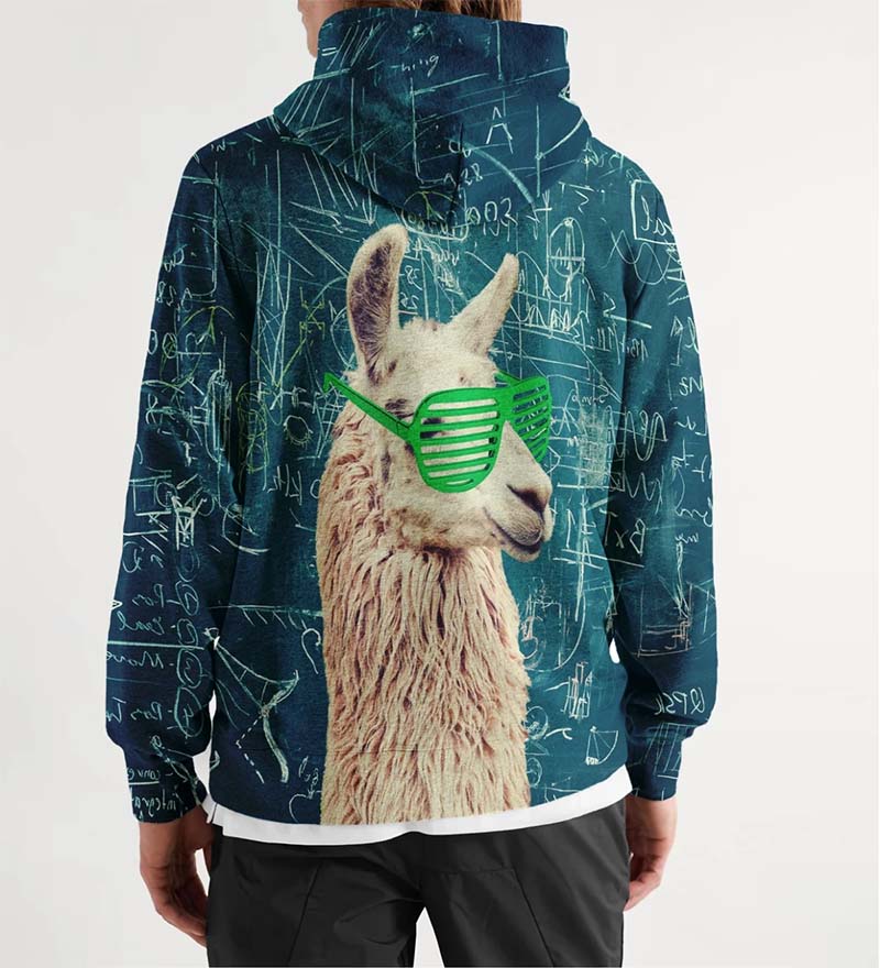 Smart guy Hoodie