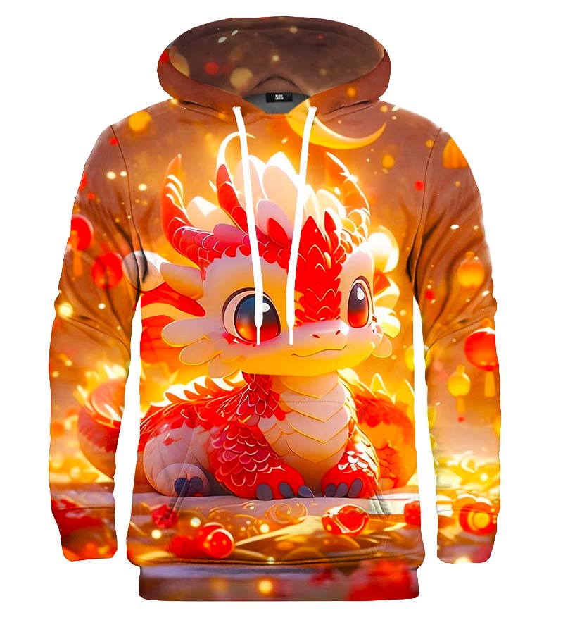 China loong hoodie