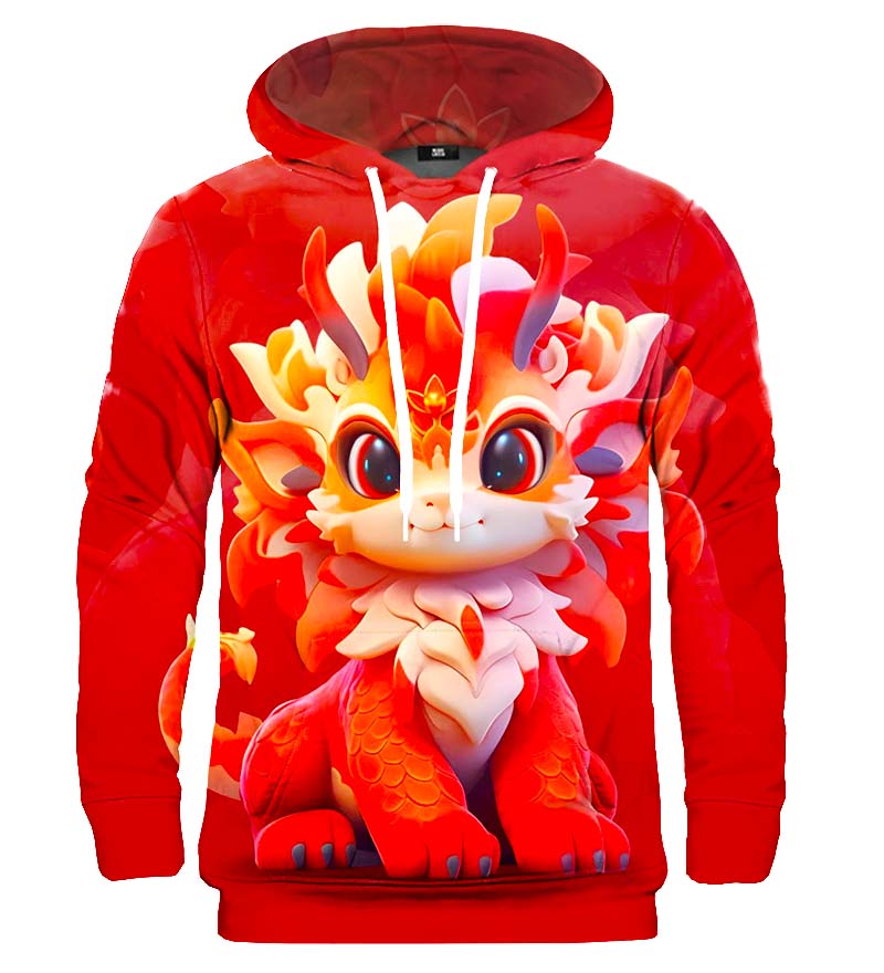 China loong hoodie